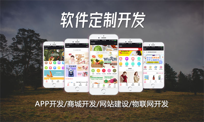 合肥矩阵直销软件开发公司代理层级穿透测试标准