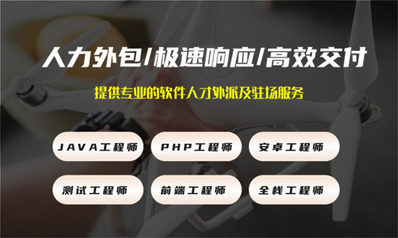 合肥企业如何利用数据分析师IT人力外包服务解决招聘难成本高的问题