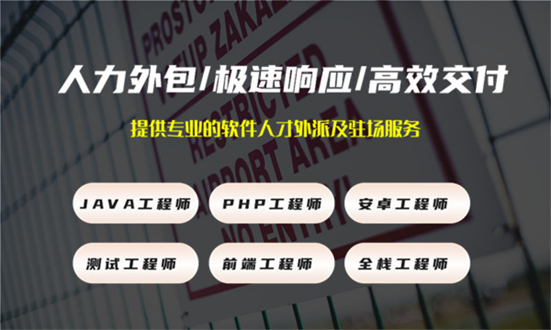长沙地区安全工程师IT人力外包服务如何助力政务系统高效建设