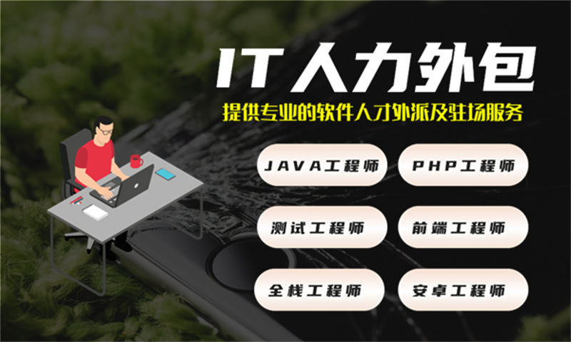 .NET程序员IT人力外包驻场服务：破解企业用工难题的高效解决方案