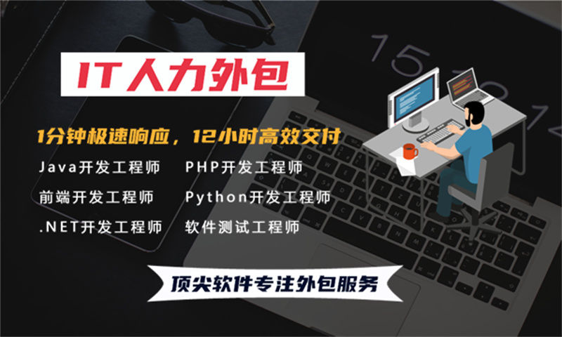 项目经理IT人力外包：破解企业用人难题的高效解决方案